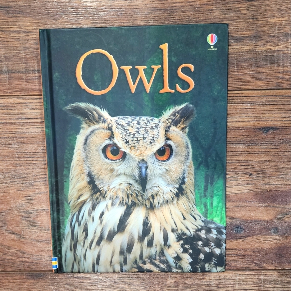 Owls Usborne Beginners Children's Hardcover Nonfiction Picture Book